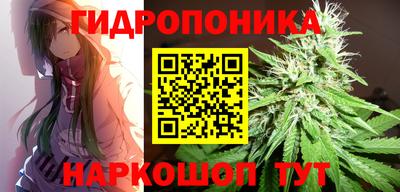 скорость Заволжье