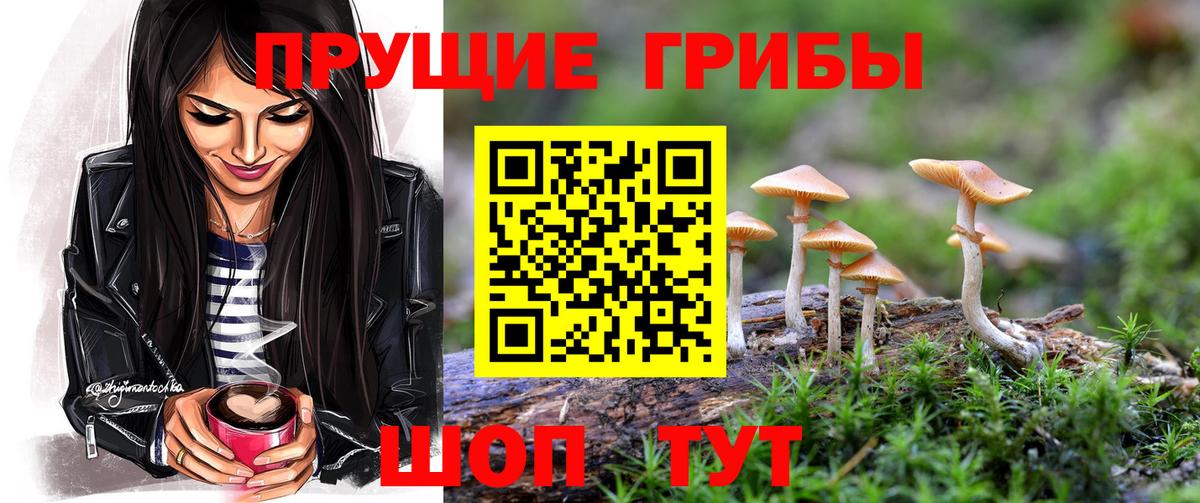 Псилоцибиновые грибы GOLDEN TEACHER  Вход с VPN  Мичуринск 