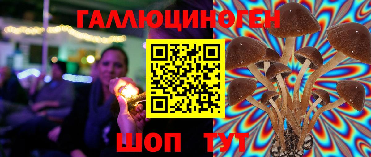 Галлюциногенные грибы прущие грибы Мичуринск